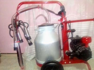 آلة لحلب البقر