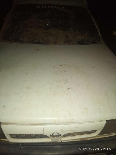 Nissan Sunny 1994 - Thumbnail 5