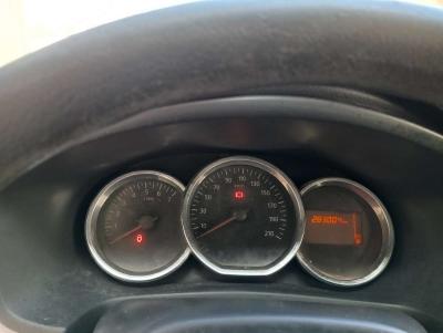 Dasia sandiro - Thumbnail 5