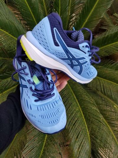 basket asics  p0inture 40 - Alger Centre, Alger