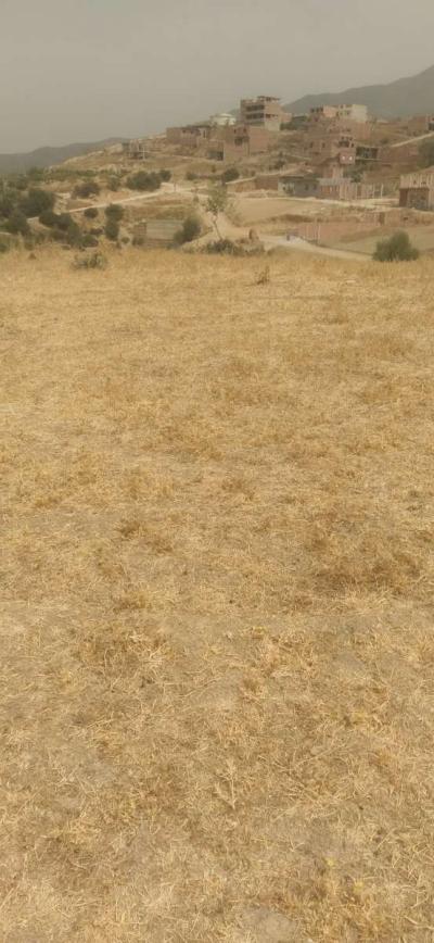 قطعة ارض - Thumbnail 5