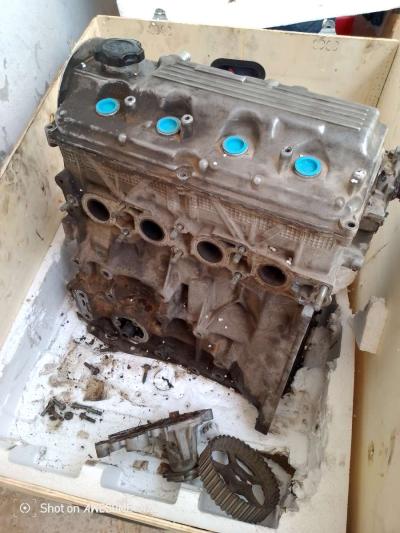 محرك شانا بيني بريسطو