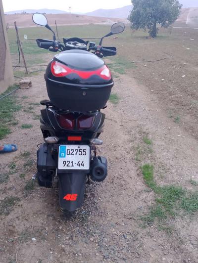 اوكينوا اكتفيا - Thumbnail 5