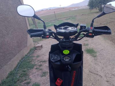 اوكينوا اكتفيا - Thumbnail 4