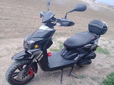 اوكينوا اكتفيا - Thumbnail 6