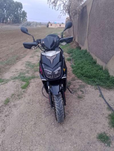 اوكينوا اكتفيا - Thumbnail 2