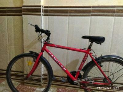 دراجة هوائية - Alger Centre, Alger