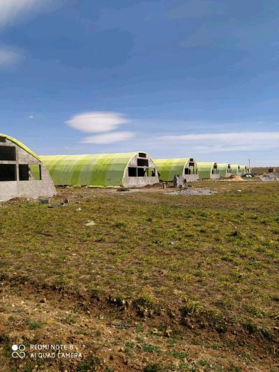 بيع وتركيب البيوت البلاستيكية الخاصة بتربية الدواجن ومعداتها - Thumbnail 5