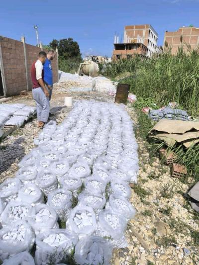 Galet Marbre Blanc AthenaGallet importationGalet en pierre - Thumbnail 5