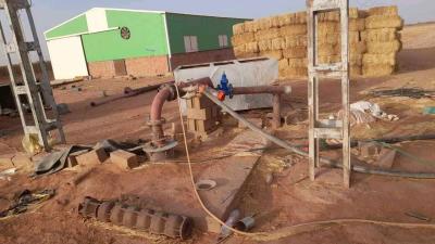 terrain - Thumbnail 4