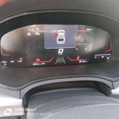 ibiza fr 2024 - Thumbnail 6