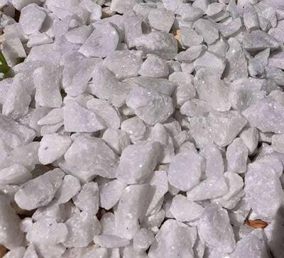 Gravier aquariumSlection de gravier pour0550794970 - Thumbnail 3