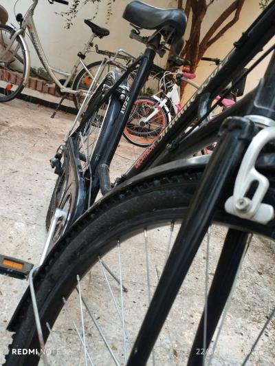 decathlon - Thumbnail 4