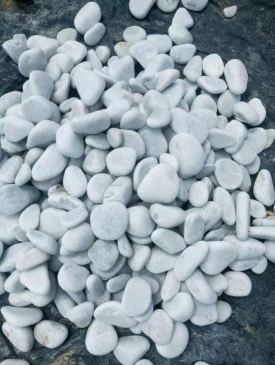 Galet Marbre Blanc AthenaGallet importationGalet en pierre - Thumbnail 2