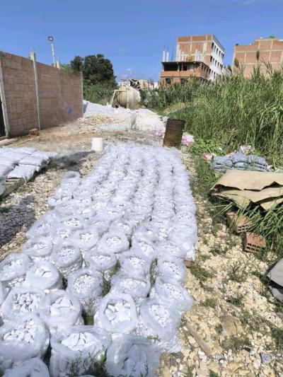 2Galet Marbre Blanc AthenaGallet importationGalet en pierre - Thumbnail 4