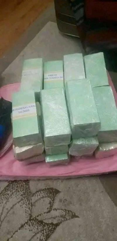 PNUV13 - Thumbnail 2