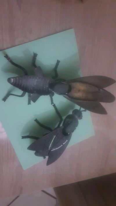 Cendrier Mouche - Thumbnail 5