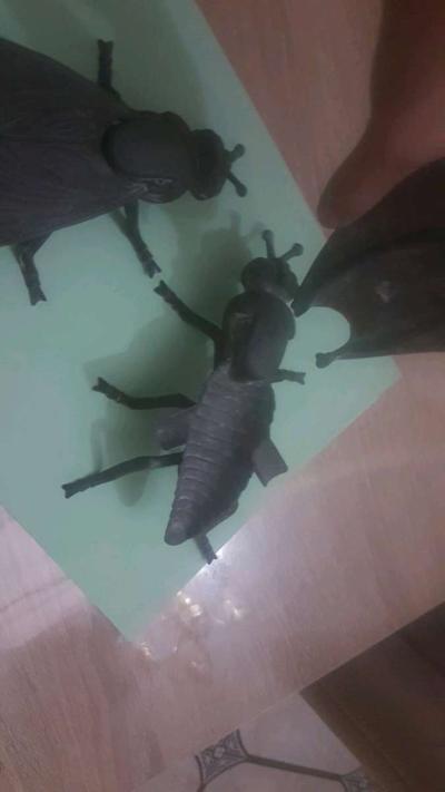 Cendrier Mouche - Thumbnail 1