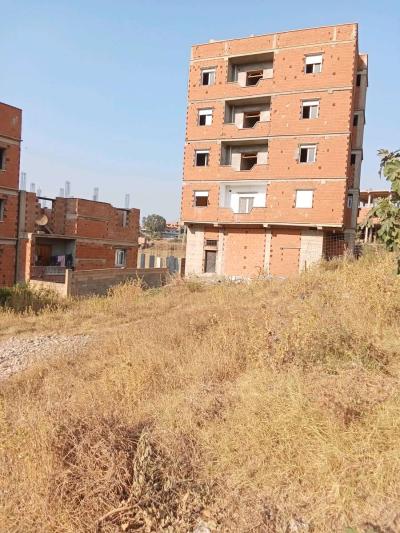 des terrains avendre a larbatache - Thumbnail 3