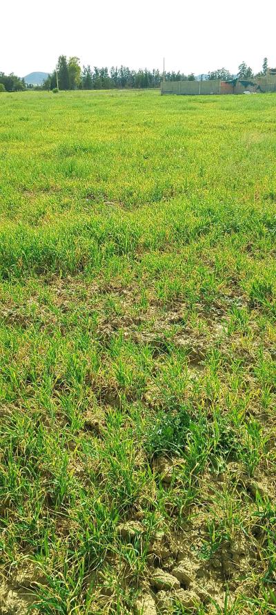 ارض للبيع بعقد الملكية - Thumbnail 3