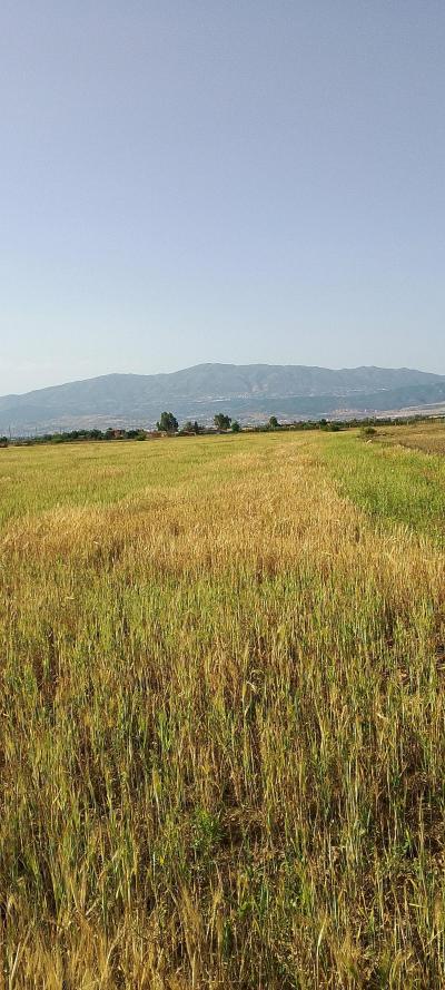 ارض للبيع بعقد الملكية - Thumbnail 2