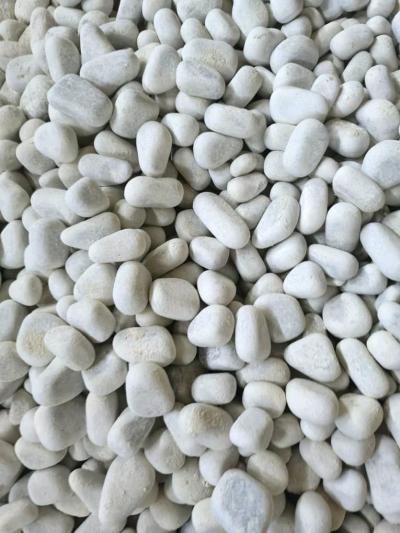 Galet Marbre Blanc AthenaGallet - Thumbnail 4