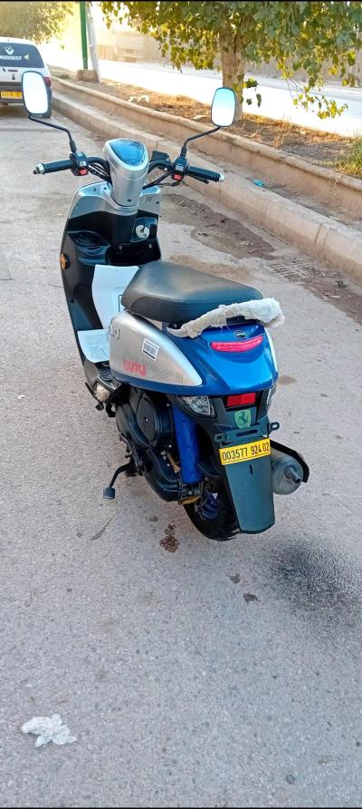 كوكسي 2 2024 - Thumbnail 3