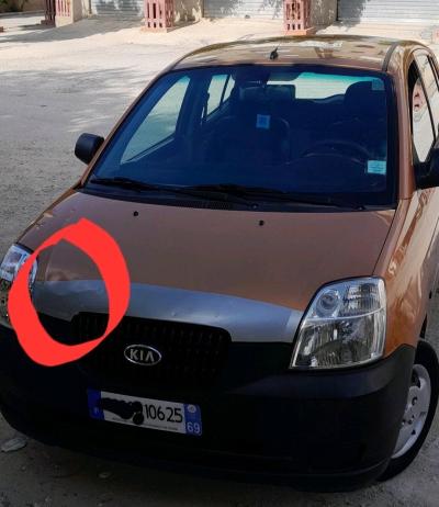 picanto - Thumbnail 4