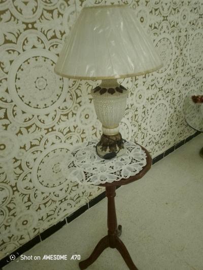 repasseur  a vapeur pour vtements   et rideaux et tapis - Thumbnail 3