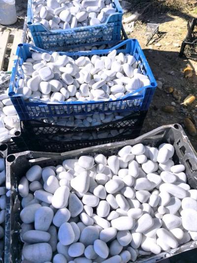 Galet Marbre Blanc AthenaGallet importation num 0550794970 - Thumbnail 2