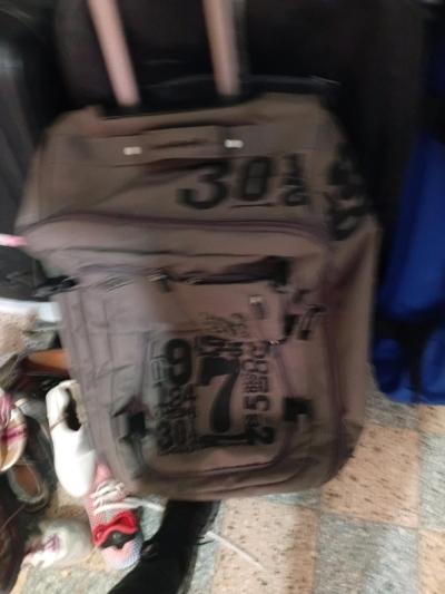 valise - Thumbnail 4