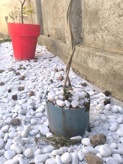 Galet Marbre Blanc AthenaGallet importation num 0550794970 - Thumbnail 4