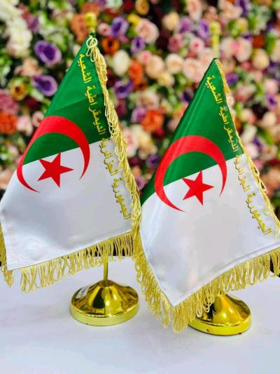 حامل العلم الوطني - Thumbnail 4