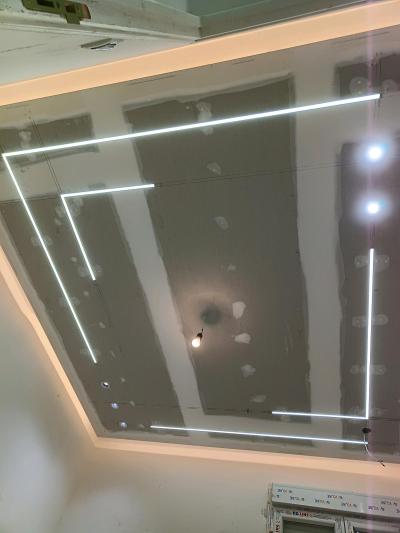 Placopltre - Thumbnail 2