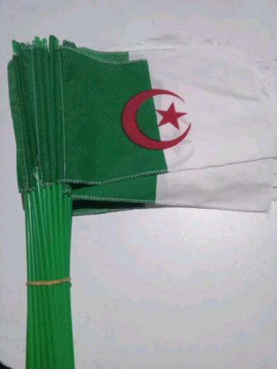 اعلام وطنية - Thumbnail 5