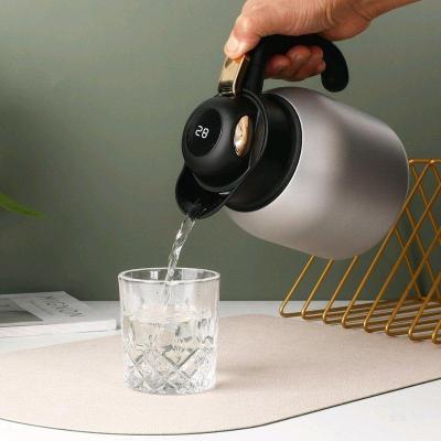 إبريق معزول مزود بفتحة شاي مقسمة وغطاء لعرض درجة الحرارة مصن - Thumbnail 3