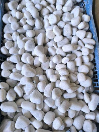 Galet Marbre Blanc AthenaGallet Num 0550794970 - Thumbnail 5