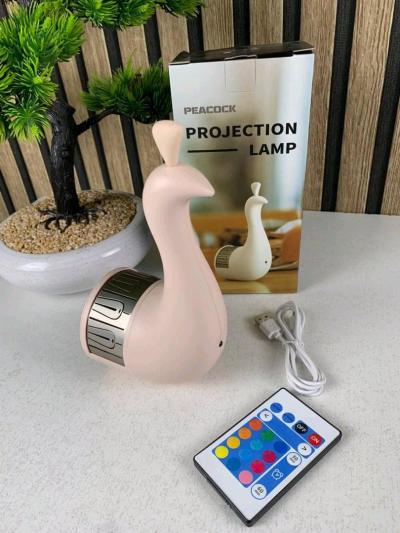 مصباح ديكور علي شكل طاوس - Alger Centre, Alger