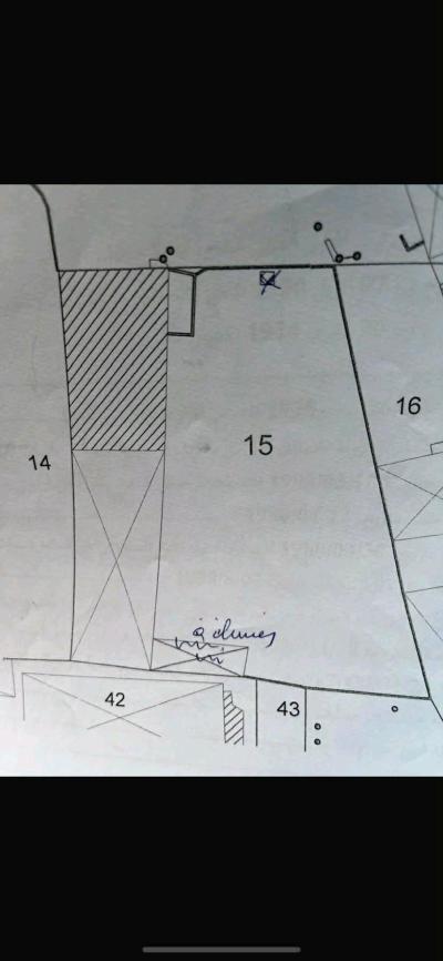 ارض صناعية لازون بومرشي سطيف