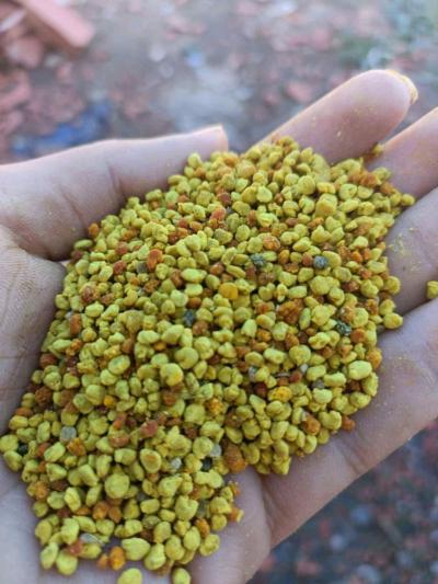 miel jujubier - Thumbnail 3