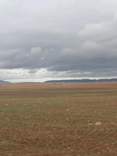 اراضي فلاحيه تلمسان ونوحيها مرحبا بالجميع - Thumbnail 2